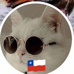 Isabel Armijo - @armijo_isa1 - Instagram
