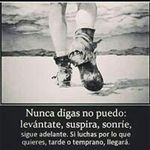 M Isabel Armijo Armijo - @misabelarmijo - Instagram
