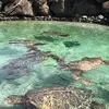 isabel.arnold - @isabel.arnold - TikTok