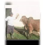 Tania Arnold - @isabel.arnold.37201 - Instagram