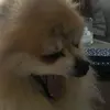 isabel - @isabel._.arthur - TikTok