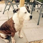 Isabel Ault - @imkmacca - Instagram