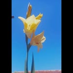 Isabel Bacon - @isabelbc159 - Instagram