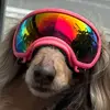 isabelbarberenaa - @is4belb4rb3r3n44 - TikTok