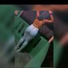 Isabel Bello - @isabel.bello86 - TikTok