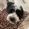 isabel_betts13 - @isabel_betts13 - TikTok