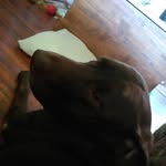 Isabella Blount - @ashy_meatloaf - Instagram