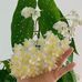 Isabel Cabezas - Facebook