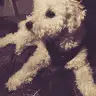 Isabel Cáceres - @isabel.caceres.v - TikTok