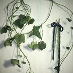 Isabel Campbell - @isabelsstudio - Instagram