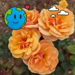 Mary Isabel Cody-Schul - @carymody - Instagram