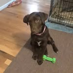 Isabel Compton - @compton.isabel - Instagram
