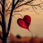 Isabel Coria - Facebook