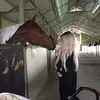 Isabella Coria - @isabellacoria0 - TikTok