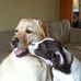 Isabel Craig - Facebook