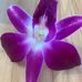 Isabel Craig - Facebook