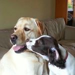 Isabel Craig - @isabel.craig.7 - Instagram