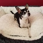 Isabel David Jimenez - @isabeldavidjimenez - Instagram