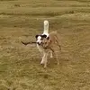 Isabel Denton - @isabeldenton2 - TikTok
