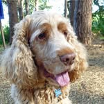 Margaret Isabel Denton - @magsden46 - Instagram