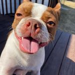 Isabella Joy Dickerson - @isabellajoydickerson - Instagram