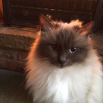 Isabel Duffy - @isabelbirman - Instagram
