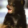 user31439585132064 - @isabelladunlapawtfz6 - TikTok