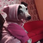 Isabel Edwards - @isab.eledwards49 - Instagram
