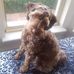 Isabel Ellis - Facebook