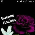 Isabel Falcon - @isabelfalcon85 - Instagram
