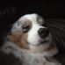 Isabel Franks - Facebook