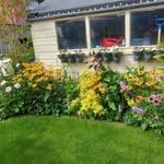 Isabel Freeman - @isabel.freeman.57 - Instagram