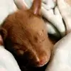 Isabella Freeman - @isabella.freeman5 - TikTok