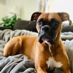 Isabel Glover - @just__me__izzy - Instagram