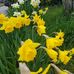 Isabel Glover - Facebook