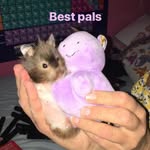 isabel gould - @idogbitches_ - Instagram