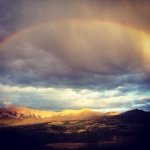 Isabel Gould- Harcourt - @isabelharcourt - Instagram