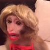 Isabel - @isabelgraham6 - TikTok