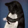 Isabel Granados - @isabel.granados7 - TikTok