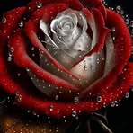 Isabel Grande - Facebook