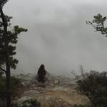 isabel griffith - @isabelgriffith68 - Instagram