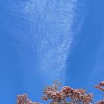 Isabel Hardy - @isabelhardy65 - Instagram