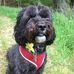 Isabel Harris - Facebook