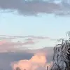 Isabella200405 - @isabella_hartmann - TikTok