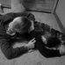 Isabella Hartman - Facebook