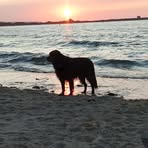Isabel Hebert - Facebook
