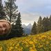Isabel Herring - Facebook