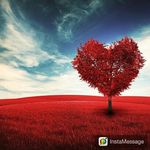 Isabel Jansen - @tuggitiger - Instagram