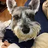 Isabel Lam - @isabel.lam0 - TikTok