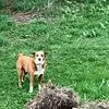 Isabel Larson - @isabel.larson - TikTok